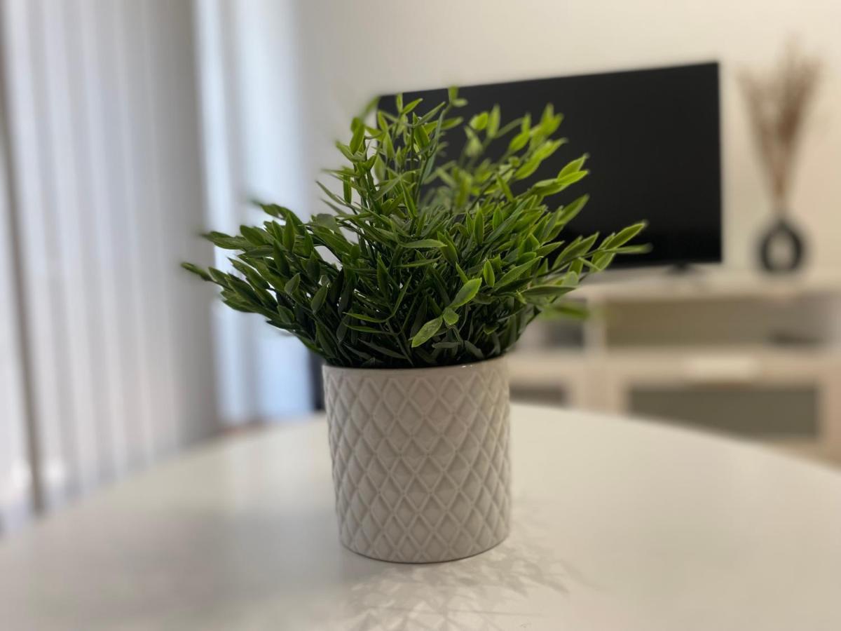 Apartamento Borgia - Gandía Εξωτερικό φωτογραφία